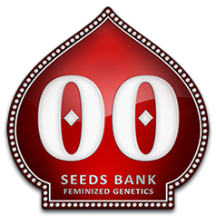 OO seeds