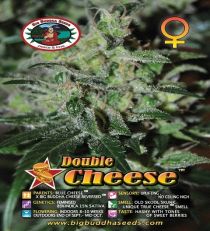 Double Cheese by Big Buddha Seeds