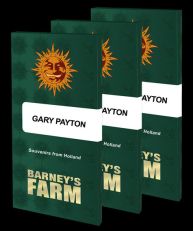Gary Payton Feminized - Barneys Farm