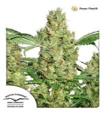 Power Plant by DP Seeds