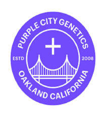 Pre '98 Bubba x Key Lime Pie by Purple City Genetics