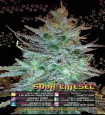 Sour Chiesel