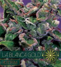 La Blanca Gold Auto by Vision Seeds 