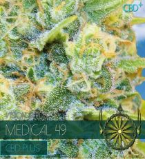 Medical 49 CBD+ by Vision Seeds
