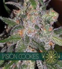 Vision Cookies by Vision Seeds