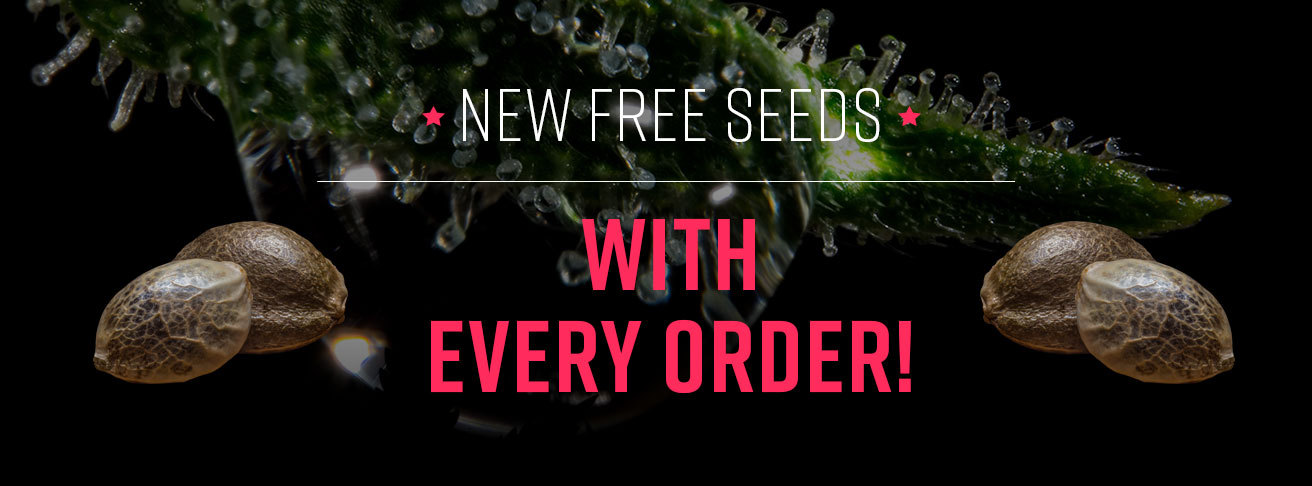  Free Cannabis Seeds