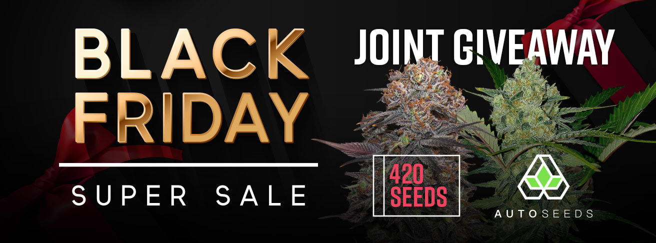 Black Friday Joint Giveaway