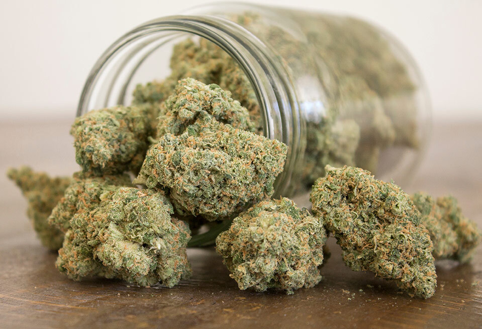 The Complete guide to harvesting, drying and curing weed