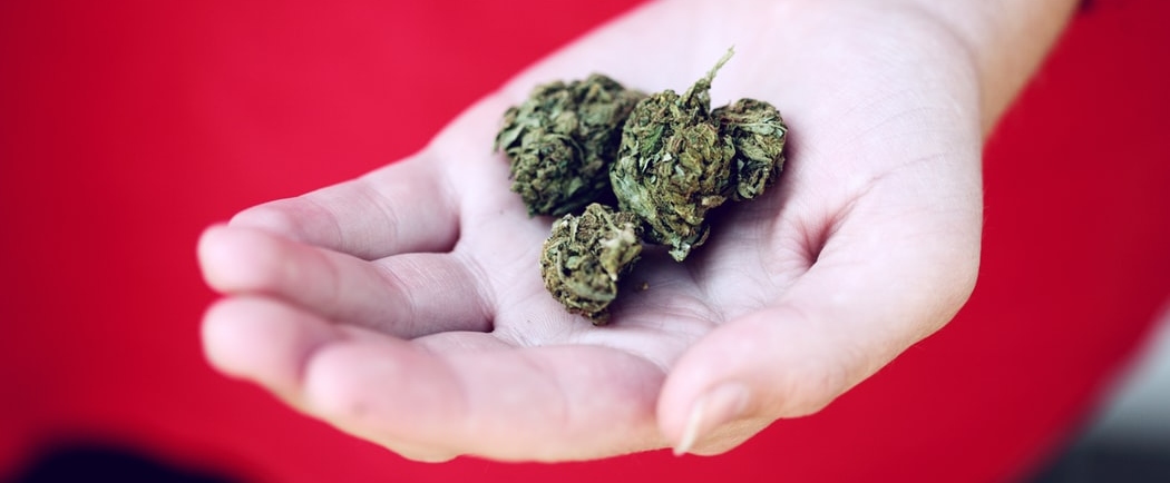 How Much is a Quarter, Pound, Ounce, or Eighth of Weed? 